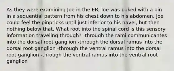 As they were examining Joe in the ER, Joe was poked with a pin in a sequential pattern from his chest down to his abdomen. Joe could feel the pinpricks until just inferior to his navel, but then nothing below that. What root into the spinal cord is this sensory information traveling through? -through the rami communicantes into the dorsal root ganglion -through the dorsal ramus into the dorsal root ganglion -through the ventral ramus into the dorsal root ganglion -through the ventral ramus into the ventral root ganglion