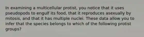 In examining a multicellular protist, you notice that it uses pseudopods to engulf its food, that it reproduces asexually by mitosis, and that it has multiple nuclei. These data allow you to infer that the species belongs to which of the following protist groups?