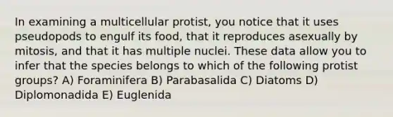 In examining a multicellular protist, you notice that it uses pseudopods to engulf its food, that it reproduces asexually by mitosis, and that it has multiple nuclei. These data allow you to infer that the species belongs to which of the following protist groups? A) Foraminifera B) Parabasalida C) Diatoms D) Diplomonadida E) Euglenida