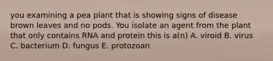 you examining a pea plant that is showing signs of disease brown leaves and no pods. You isolate an agent from the plant that only contains RNA and protein this is a(n) A. viroid B. virus C. bacterium D. fungus E. protozoan