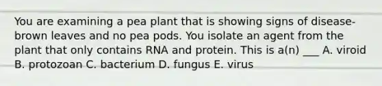 You are examining a pea plant that is showing signs of disease- brown leaves and no pea pods. You isolate an agent from the plant that only contains RNA and protein. This is a(n) ___ A. viroid B. protozoan C. bacterium D. fungus E. virus