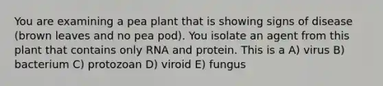 You are examining a pea plant that is showing signs of disease (brown leaves and no pea pod). You isolate an agent from this plant that contains only RNA and protein. This is a A) virus B) bacterium C) protozoan D) viroid E) fungus