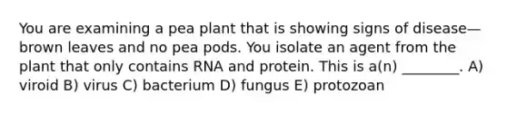 You are examining a pea plant that is showing signs of disease—brown leaves and no pea pods. You isolate an agent from the plant that only contains RNA and protein. This is a(n) ________. A) viroid B) virus C) bacterium D) fungus E) protozoan