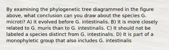 By examining the phylogenetic tree diagrammed in the figure above, what conclusion can you draw about the species G. microti? A) It evolved before G. intestinalis. B) It is more closely related to G. muris than to G. intestinalis. C) It should not be labeled a species distinct from G. intestinalis. D) It is part of a monophyletic group that also includes G. intestinalis