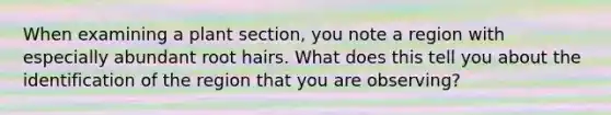 When examining a plant section, you note a region with especially abundant root hairs. What does this tell you about the identification of the region that you are observing?