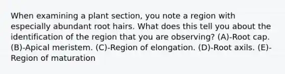 When examining a plant section, you note a region with especially abundant root hairs. What does this tell you about the identification of the region that you are observing? (A)-Root cap. (B)-Apical meristem. (C)-Region of elongation. (D)-Root axils. (E)-Region of maturation