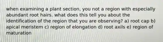 when examining a plant section, you not a region with especially abundant root hairs. what does this tell you about the identification of the region that you are observing? a) root cap b) apical meristem c) region of elongation d) root axils e) region of maturation