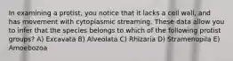 In examining a protist, you notice that it lacks a cell wall, and has movement with cytoplasmic streaming. These data allow you to infer that the species belongs to which of the following protist groups? A) Excavata B) Alveolata C) Rhizaria D) Stramenopila E) Amoebozoa