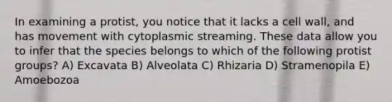 In examining a protist, you notice that it lacks a cell wall, and has movement with cytoplasmic streaming. These data allow you to infer that the species belongs to which of the following protist groups? A) Excavata B) Alveolata C) Rhizaria D) Stramenopila E) Amoebozoa