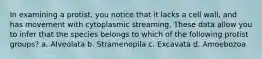 In examining a protist, you notice that it lacks a cell wall, and has movement with cytoplasmic streaming. These data allow you to infer that the species belongs to which of the following protist groups? a. Alveolata b. Stramenopila c. Excavata d. Amoebozoa