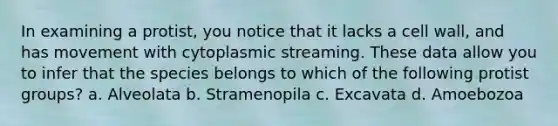 In examining a protist, you notice that it lacks a cell wall, and has movement with cytoplasmic streaming. These data allow you to infer that the species belongs to which of the following protist groups? a. Alveolata b. Stramenopila c. Excavata d. Amoebozoa