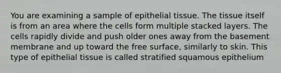 You are examining a sample of epithelial tissue. The tissue itself is from an area where the cells form multiple stacked layers. The cells rapidly divide and push older ones away from the basement membrane and up toward the free surface, similarly to skin. This type of epithelial tissue is called stratified squamous epithelium