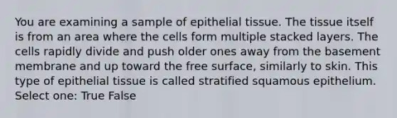 You are examining a sample of epithelial tissue. The tissue itself is from an area where the cells form multiple stacked layers. The cells rapidly divide and push older ones away from the basement membrane and up toward the free surface, similarly to skin. This type of epithelial tissue is called stratified squamous epithelium. Select one: True False