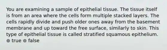 You are examining a sample of epithelial tissue. The tissue itself is from an area where the cells form multiple stacked layers. The cells rapidly divide and push older ones away from the basement membrane and up toward the free surface, similarly to skin. This type of epithelial tissue is called stratified squamous epithelium. ⊚ true ⊚ false