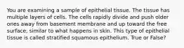 You are examining a sample of epithelial tissue. The tissue has multiple layers of cells. The cells rapidly divide and push older ones away from basement membrane and up toward the free surface, similar to what happens in skin. This type of epithelial tissue is called stratified squamous epithelium. True or False?