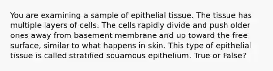 You are examining a sample of epithelial tissue. The tissue has multiple layers of cells. The cells rapidly divide and push older ones away from basement membrane and up toward the free surface, similar to what happens in skin. This type of epithelial tissue is called stratified squamous epithelium. True or False?