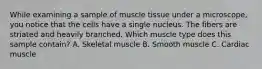 While examining a sample of muscle tissue under a microscope, you notice that the cells have a single nucleus. The fibers are striated and heavily branched. Which muscle type does this sample contain? A. Skeletal muscle B. Smooth muscle C. Cardiac muscle