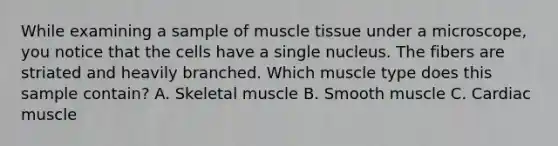 While examining a sample of muscle tissue under a microscope, you notice that the cells have a single nucleus. The fibers are striated and heavily branched. Which muscle type does this sample contain? A. Skeletal muscle B. Smooth muscle C. Cardiac muscle