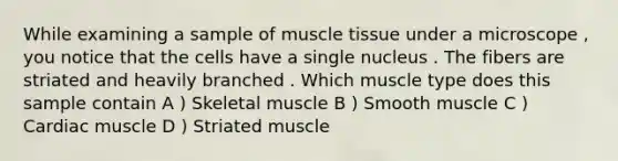 While examining a sample of <a href='https://www.questionai.com/knowledge/kMDq0yZc0j-muscle-tissue' class='anchor-knowledge'>muscle tissue</a> under a microscope , you notice that the cells have a single nucleus . The fibers are striated and heavily branched . Which muscle type does this sample contain A ) Skeletal muscle B ) Smooth muscle C ) Cardiac muscle D ) Striated muscle