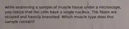 while examining a sample of muscle tissue under a microscope, you notice that the cells have a single nucleus. The fibers are striated and heavily branched. Which muscle type does this sample contain?