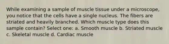 While examining a sample of <a href='https://www.questionai.com/knowledge/kMDq0yZc0j-muscle-tissue' class='anchor-knowledge'>muscle tissue</a> under a microscope, you notice that the cells have a single nucleus. The fibers are striated and heavily branched. Which muscle type does this sample contain? Select one: a. Smooth muscle b. Striated muscle c. Skeletal muscle d. Cardiac muscle