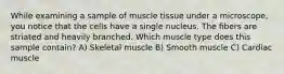 While examining a sample of muscle tissue under a microscope, you notice that the cells have a single nucleus. The fibers are striated and heavily branched. Which muscle type does this sample contain? A) Skeletal muscle B) Smooth muscle C) Cardiac muscle