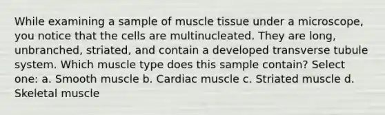 While examining a sample of <a href='https://www.questionai.com/knowledge/kMDq0yZc0j-muscle-tissue' class='anchor-knowledge'>muscle tissue</a> under a microscope, you notice that the cells are multinucleated. They are long, unbranched, striated, and contain a developed transverse tubule system. Which muscle type does this sample contain? Select one: a. Smooth muscle b. Cardiac muscle c. Striated muscle d. Skeletal muscle