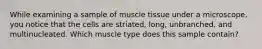 While examining a sample of muscle tissue under a microscope, you notice that the cells are striated, long, unbranched, and multinucleated. Which muscle type does this sample contain?