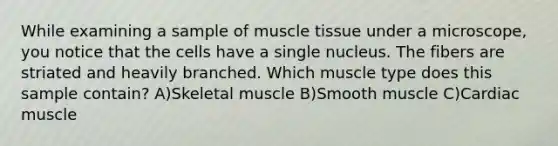 While examining a sample of muscle tissue under a microscope, you notice that the cells have a single nucleus. The fibers are striated and heavily branched. Which muscle type does this sample contain? A)Skeletal muscle B)Smooth muscle C)Cardiac muscle