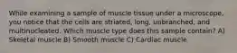 ​While examining a sample of muscle tissue under a microscope, you notice that the cells are striated, long, unbranched, and multinucleated. Which muscle type does this sample contain? ​A) Skeletal muscle​ ​B) Smooth muscle ​C) Cardiac muscle