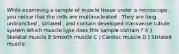 While examining a sample of muscle tissue under a microscope , you notice that the cells are multinucleated . They are long , unbranched , striated , and contain developed transverse tubule system Which muscle type does this sample contain ? A ) Skeletal muscle B Smooth muscle C ) Cardiac muscle D ) Striated muscle