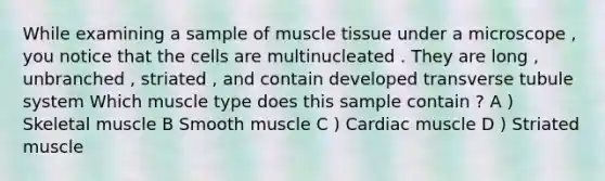 While examining a sample of muscle tissue under a microscope , you notice that the cells are multinucleated . They are long , unbranched , striated , and contain developed transverse tubule system Which muscle type does this sample contain ? A ) Skeletal muscle B Smooth muscle C ) Cardiac muscle D ) Striated muscle