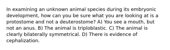 In examining an unknown animal species during its embryonic development, how can you be sure what you are looking at is a protostome and not a deuterostome? A) You see a mouth, but not an anus. B) The animal is triploblastic. C) The animal is clearly bilaterally symmetrical. D) There is evidence of cephalization.