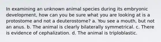 In examining an unknown animal species during its embryonic development, how can you be sure what you are looking at is a protostome and not a deuterostome? a. You see a mouth, but not an anus. b. The animal is clearly bilaterally symmetrical. c. There is evidence of cephalization. d. The animal is triploblastic.