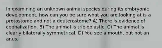 In examining an unknown animal species during its embryonic development, how can you be sure what you are looking at is a protostome and not a deuterostome? A) There is evidence of cephalization. B) The animal is triploblastic. C) The animal is clearly bilaterally symmetrical. D) You see a mouth, but not an anus.