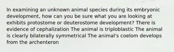 In examining an unknown animal species during its embryonic development, how can you be sure what you are looking at exhibits protostome or deuterostome development? There is evidence of cephalization The animal is triploblastic The animal is clearly bilaterally symmetrical The animal's coelom develops from the archenteron