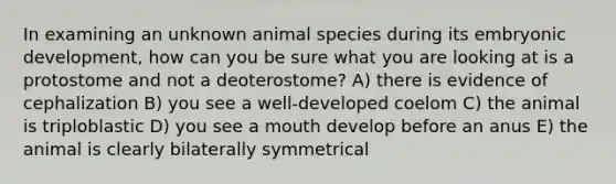 In examining an unknown animal species during its embryonic development, how can you be sure what you are looking at is a protostome and not a deoterostome? A) there is evidence of cephalization B) you see a well-developed coelom C) the animal is triploblastic D) you see a mouth develop before an anus E) the animal is clearly bilaterally symmetrical