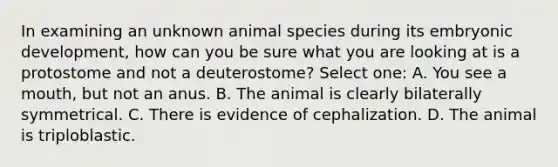 In examining an unknown animal species during its embryonic development, how can you be sure what you are looking at is a protostome and not a deuterostome? Select one: A. You see a mouth, but not an anus. B. The animal is clearly bilaterally symmetrical. C. There is evidence of cephalization. D. The animal is triploblastic.