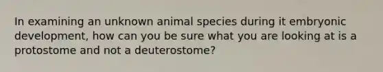 In examining an unknown animal species during it embryonic development, how can you be sure what you are looking at is a protostome and not a deuterostome?