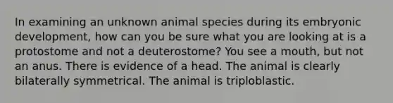 In examining an unknown animal species during its embryonic development, how can you be sure what you are looking at is a protostome and not a deuterostome? You see a mouth, but not an anus. There is evidence of a head. The animal is clearly bilaterally symmetrical. The animal is triploblastic.