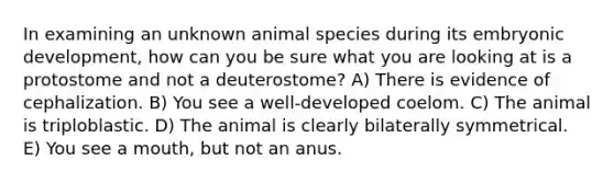 In examining an unknown animal species during its embryonic development, how can you be sure what you are looking at is a protostome and not a deuterostome? A) There is evidence of cephalization. B) You see a well-developed coelom. C) The animal is triploblastic. D) The animal is clearly bilaterally symmetrical. E) You see a mouth, but not an anus.