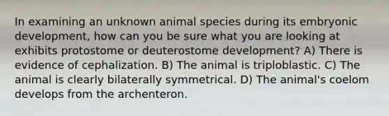 In examining an unknown animal species during its embryonic development, how can you be sure what you are looking at exhibits protostome or deuterostome development? A) There is evidence of cephalization. B) The animal is triploblastic. C) The animal is clearly bilaterally symmetrical. D) The animal's coelom develops from the archenteron.