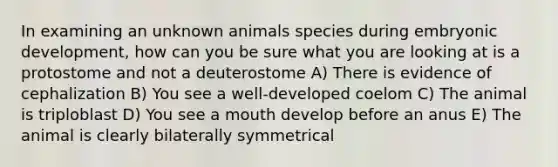 In examining an unknown animals species during embryonic development, how can you be sure what you are looking at is a protostome and not a deuterostome A) There is evidence of cephalization B) You see a well-developed coelom C) The animal is triploblast D) You see a mouth develop before an anus E) The animal is clearly bilaterally symmetrical