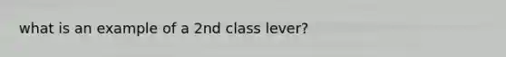 what is an example of a 2nd class lever?