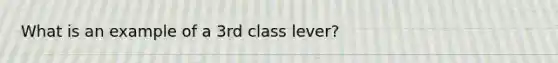 What is an example of a 3rd class lever?