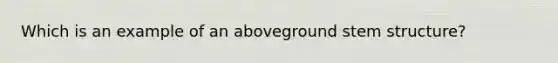 Which is an example of an aboveground stem structure?