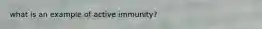 what is an example of active immunity?