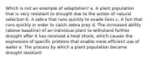 Which is not an example of adaptation? a. A plant population that is very resistant to drought due to the action of natural selection b. A zebra that runs quickly to evade lions c. A lion that runs quickly in order to catch zebra prey d. The increased ability (above baseline) of an individual plant to withstand further drought after it has received a heat shock, which causes the expression of specific proteins that enable more efficient use of water e. The process by which a plant population became drought resistant