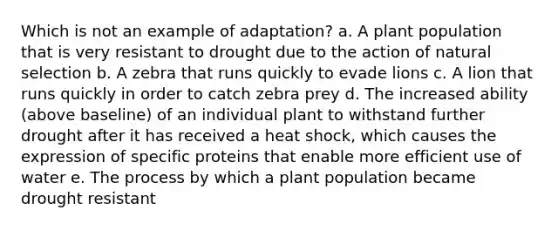 Which is not an example of adaptation? a. A plant population that is very resistant to drought due to the action of natural selection b. A zebra that runs quickly to evade lions c. A lion that runs quickly in order to catch zebra prey d. The increased ability (above baseline) of an individual plant to withstand further drought after it has received a heat shock, which causes the expression of specific proteins that enable more efficient use of water e. The process by which a plant population became drought resistant