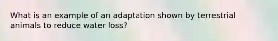 What is an example of an adaptation shown by terrestrial animals to reduce water loss?